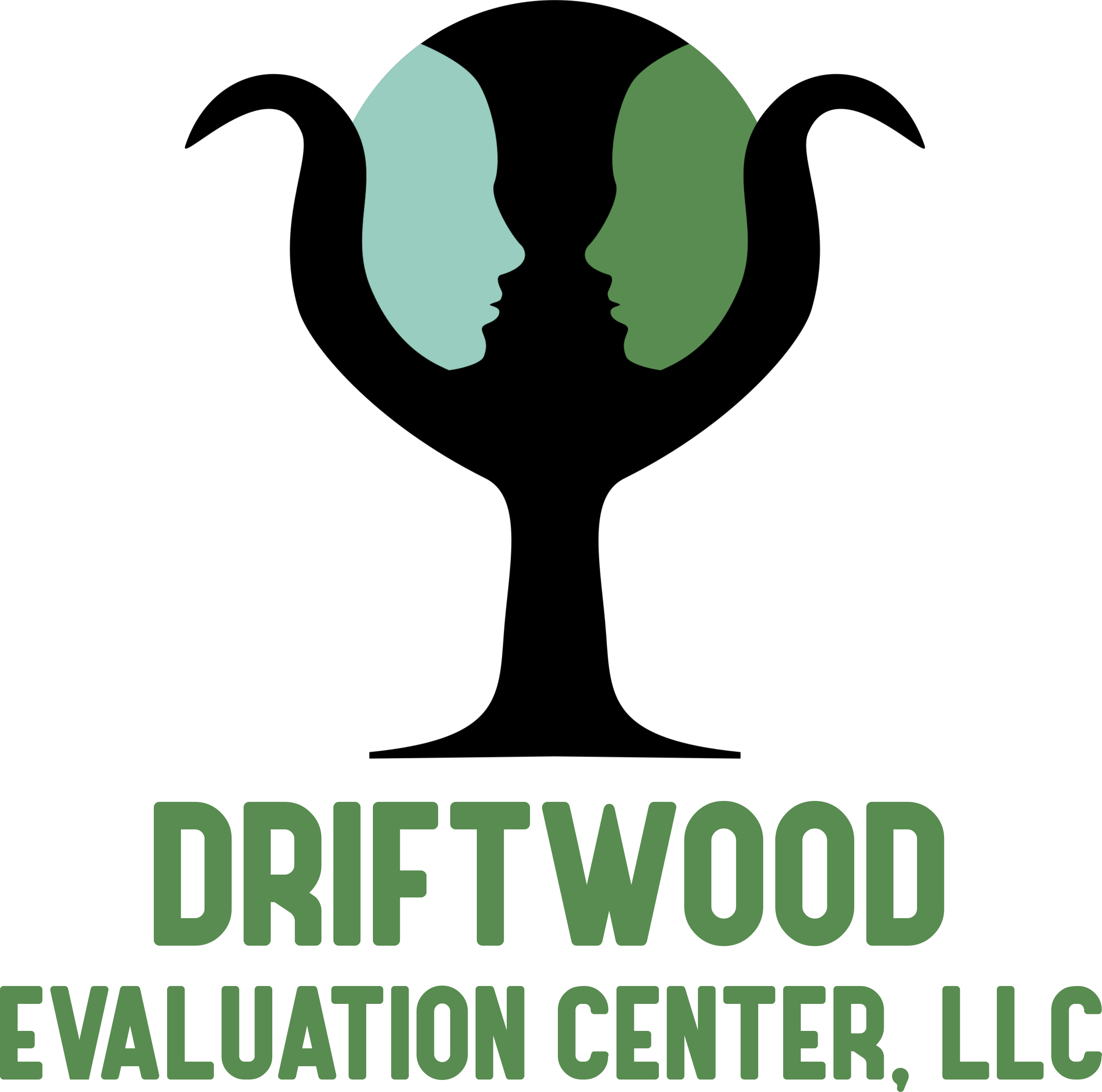 Driftwood Evaluation Center logo
