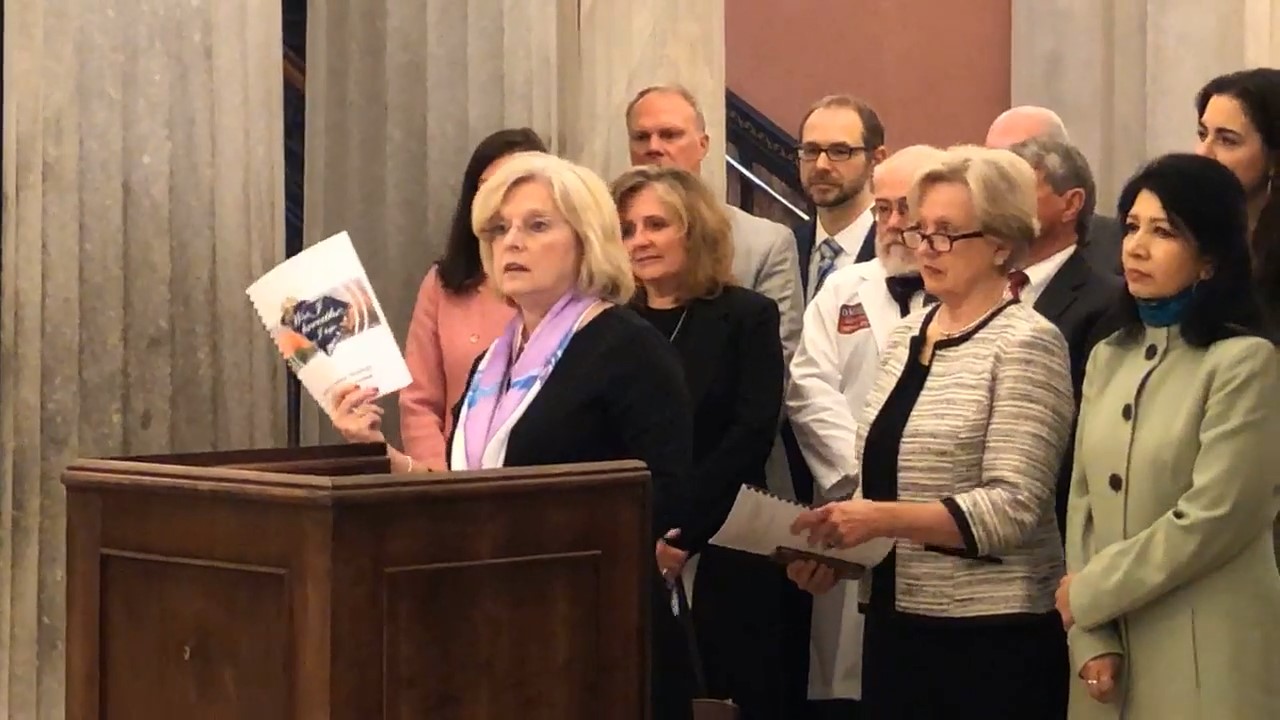 State Suicide Prevention Plan Press Conference image